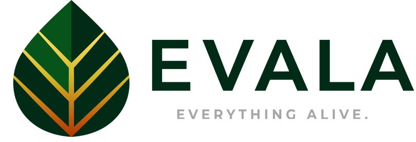 Evala