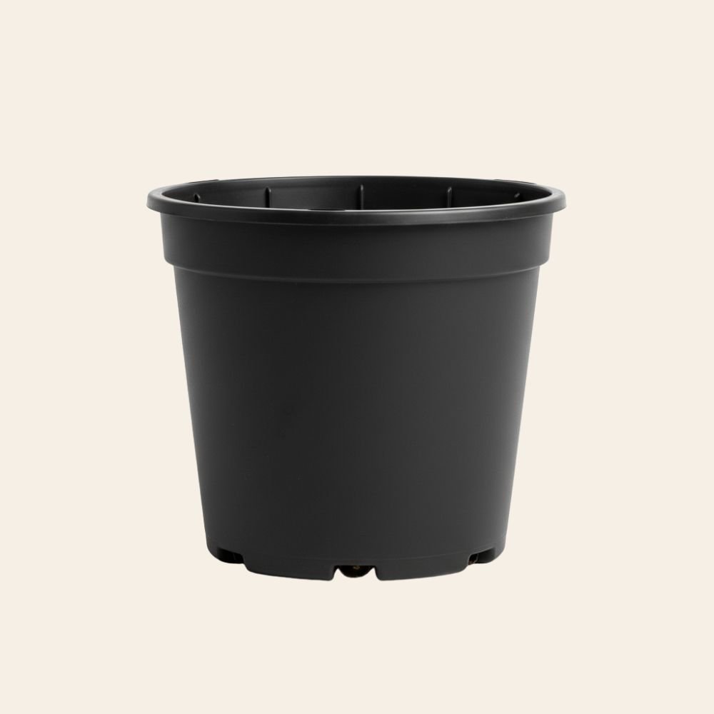 Untitled design (15) Classic Black Plastic Pot – Premium Quality