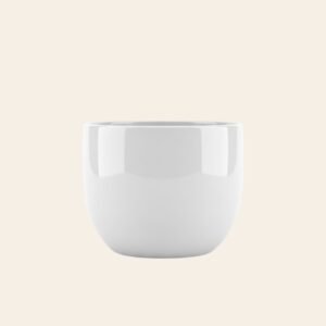 White Ceramic Pot – Glossy Premium Finish