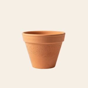 Terracotta Clay Pot – Traditional Eco-Friendly Pot
