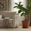 low maintenance indoor plants for your home living room