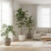 indoor plants air purification living room