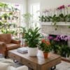 flowering indoor plants in home decor
