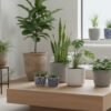 best indoor plant planters for home plants
